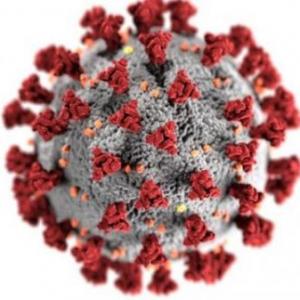 Imagen de portada del videojuego educativo: Memoria Coronavirus, de la temática Biología