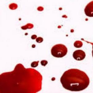 Aprendiendo sobre la sangre