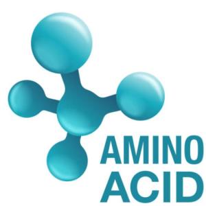 AMINOACIDOS UNAD