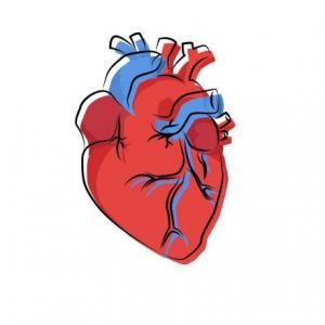 Corazon