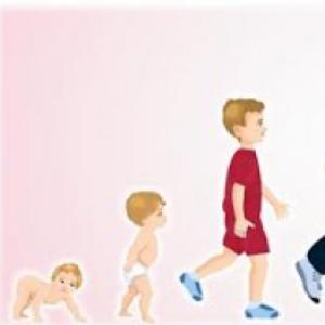 ETAPAS DEL DESARROLLO HUMANO