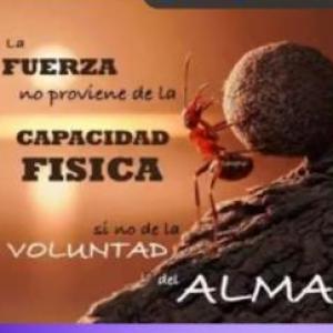 Trabajo de lengua