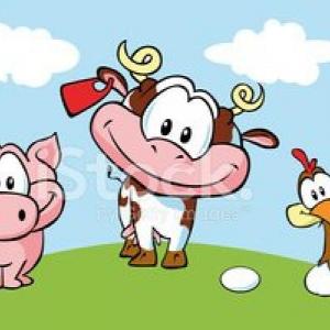 ¿Qué nos dan los animales?