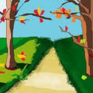 El camino del desafio