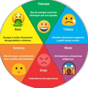 Las emociones básicas