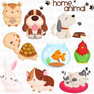 Animales Dómesticos