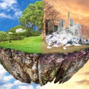 REALLY MEDIO AMBIENTAL, PREPARATE