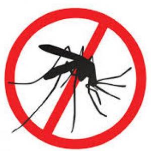 Imagen de portada del videojuego educativo: Prevención del Dengue, de la temática Ciencias