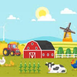 Farm animals hang man
