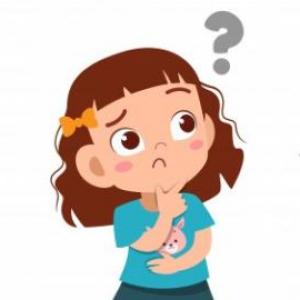 Animales según su alimentación