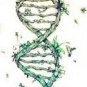 Historia del ADN