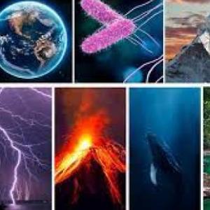 Ciencias Naturales