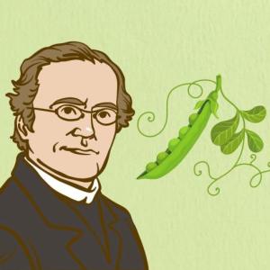 Trivia Genética