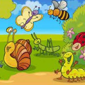 ANIMALES INVERTEBRADOS