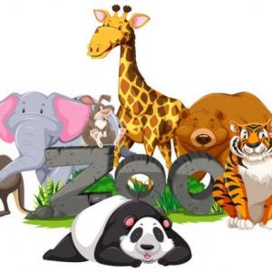 RECORRIDO POR EL ZOO