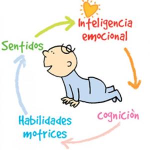 La teorías sobre el Desarrollo