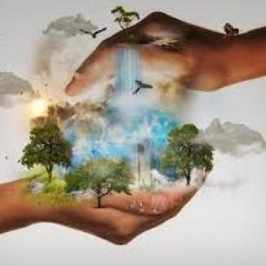 Servicios Ecosistémicos I