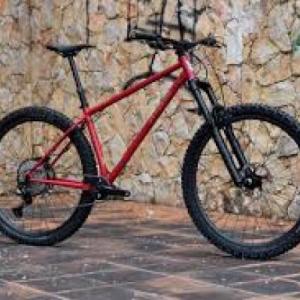 Bicicleteando