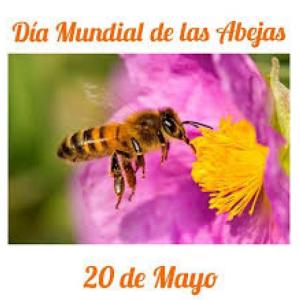 TRIVIAS SOBRE LAS ABEJAS