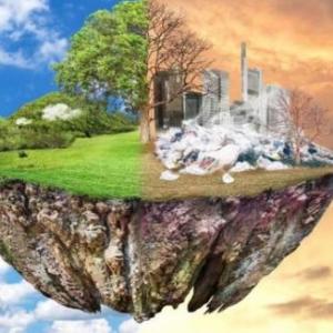 Memoria combustibles alternativos