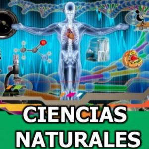 reconoce las etapas de la vida 