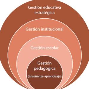 Directrices y fundamentos de la calidad educativa en México
