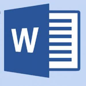 MS Word