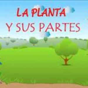 Imagen de portada del videojuego educativo: Conociendo las partes de las Plantas, de la temática Ciencias