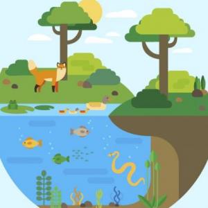 Ecosistemas