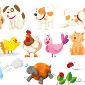 DESCUBRIENDO LOS ANIMALES DOMÉSTICOS