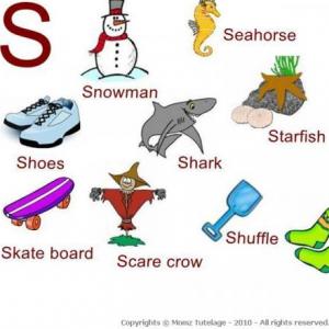 Imagen de portada del videojuego educativo: Letter S, de la temática Idiomas