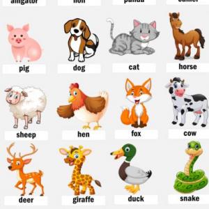 Imagen de portada del videojuego educativo: animals, de la temática Idiomas