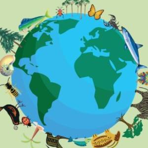 Equilibrio en el ecosistema