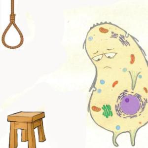Apoptosis