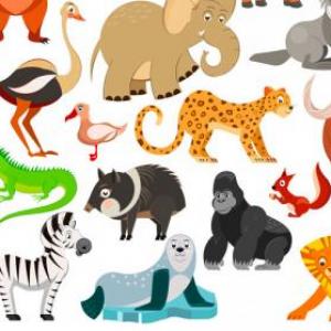 JUEGO DE MEMORIA (ANIMALES)