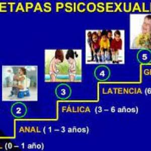 TEORÍA PSICOSEXUAL