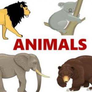 ANIMALS