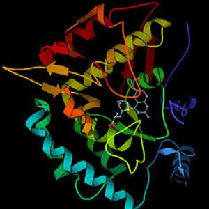 Fenilcetonuria