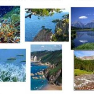 Tipos de Ecosistemas Naturales