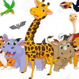 ANIMALES