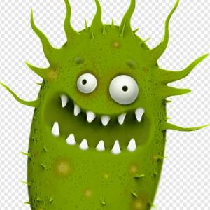 Microbiología de las Vías Respiratorias Altas y Oído.