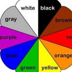 Colours
