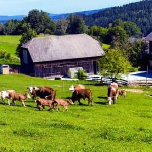 Animales de granja