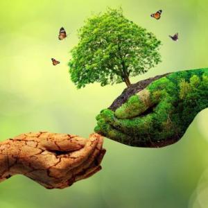 Imagen de portada del videojuego educativo: Ayudemos a consumir de manera responsable, de la temática Medio ambiente
