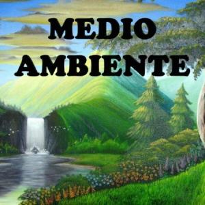 Medio Ambiente