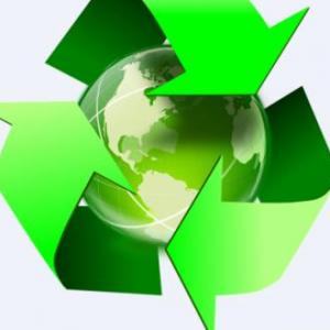 EL cuidado del medio ambiente