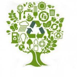 prácticas correctas e incorrectas del cuidado del medio ambiente.