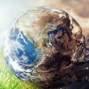 EL cuidado del medio ambiente