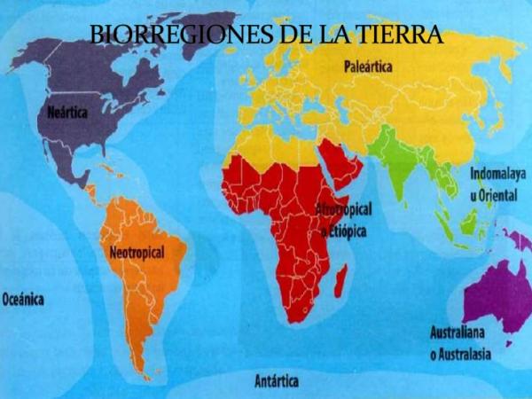 Biogeografía