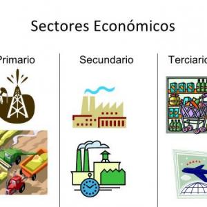 Duchazo - Actividades de los sectores económicos